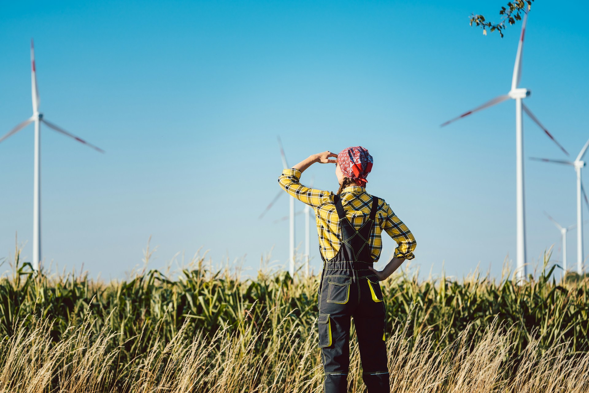Farm REITs A Close Alternative to Owning Farmland Farm REITs A Close Alternative to Owning Farmland